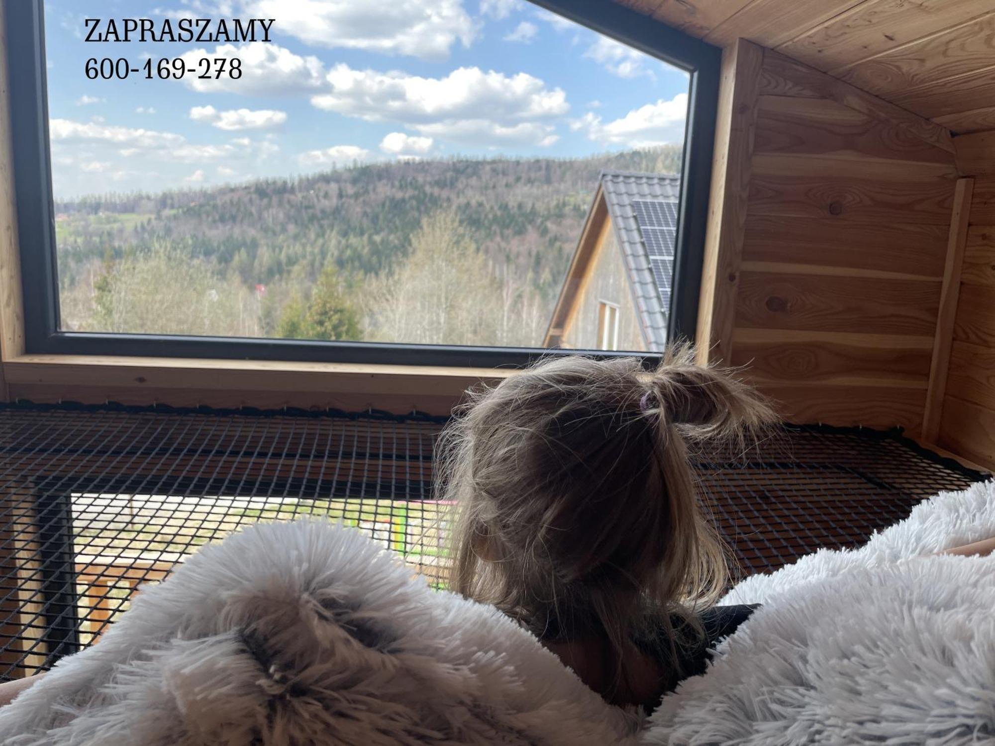 Holiday home Modrzewiowe W Koszarawie Koszarawa